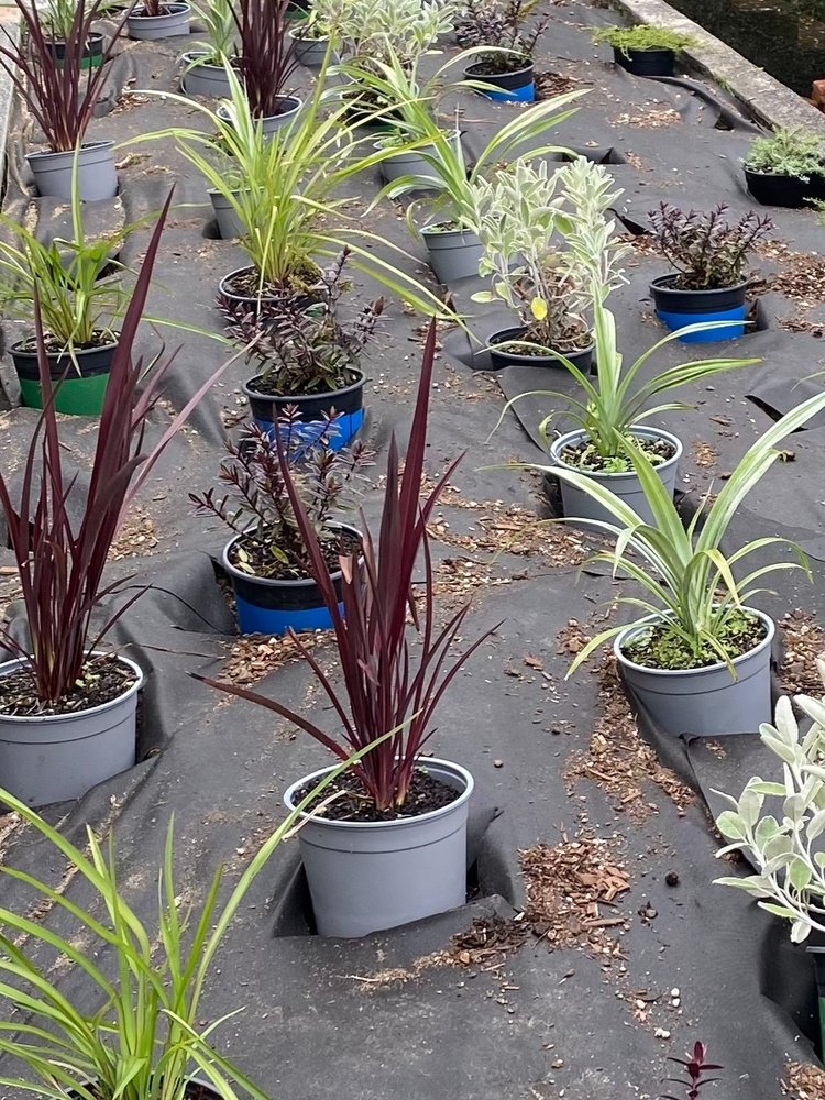 Garden nursery with potted plants