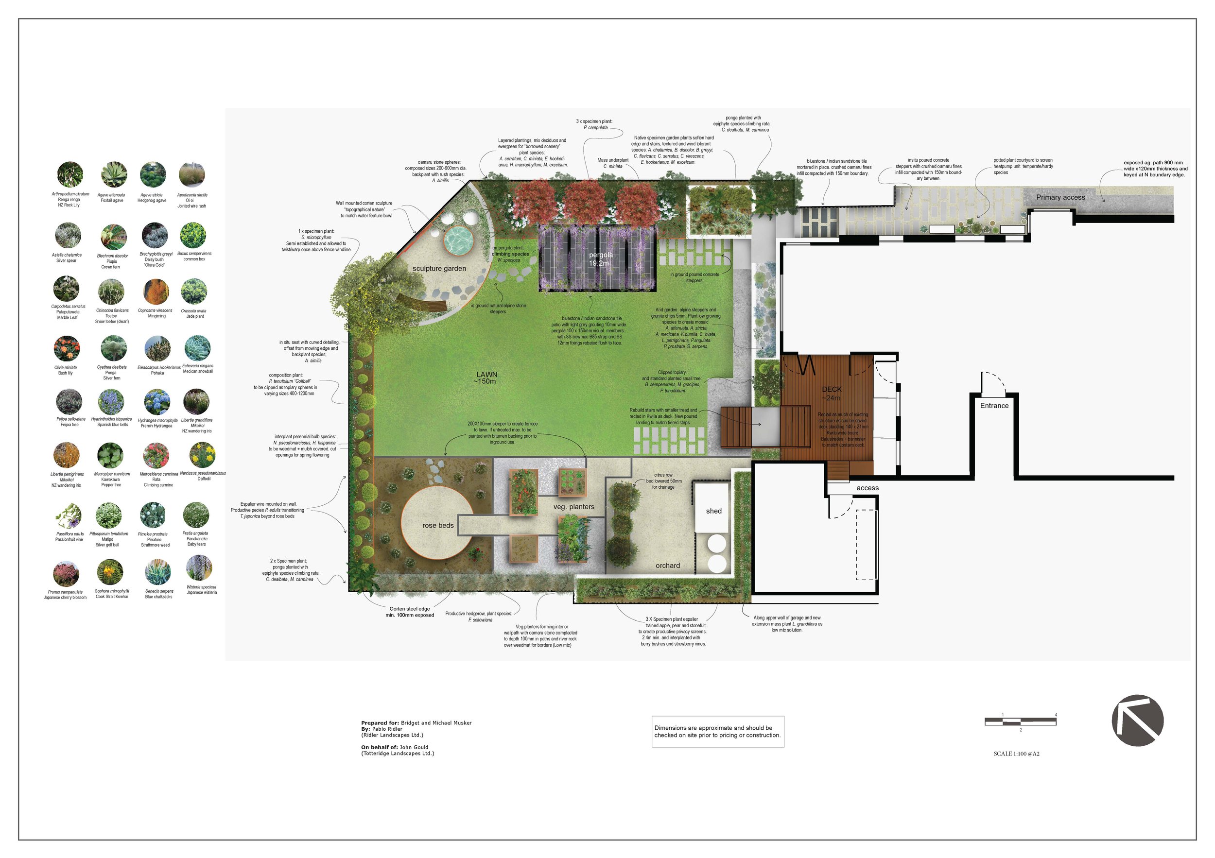 A planting plan with specific plant labels and locations.