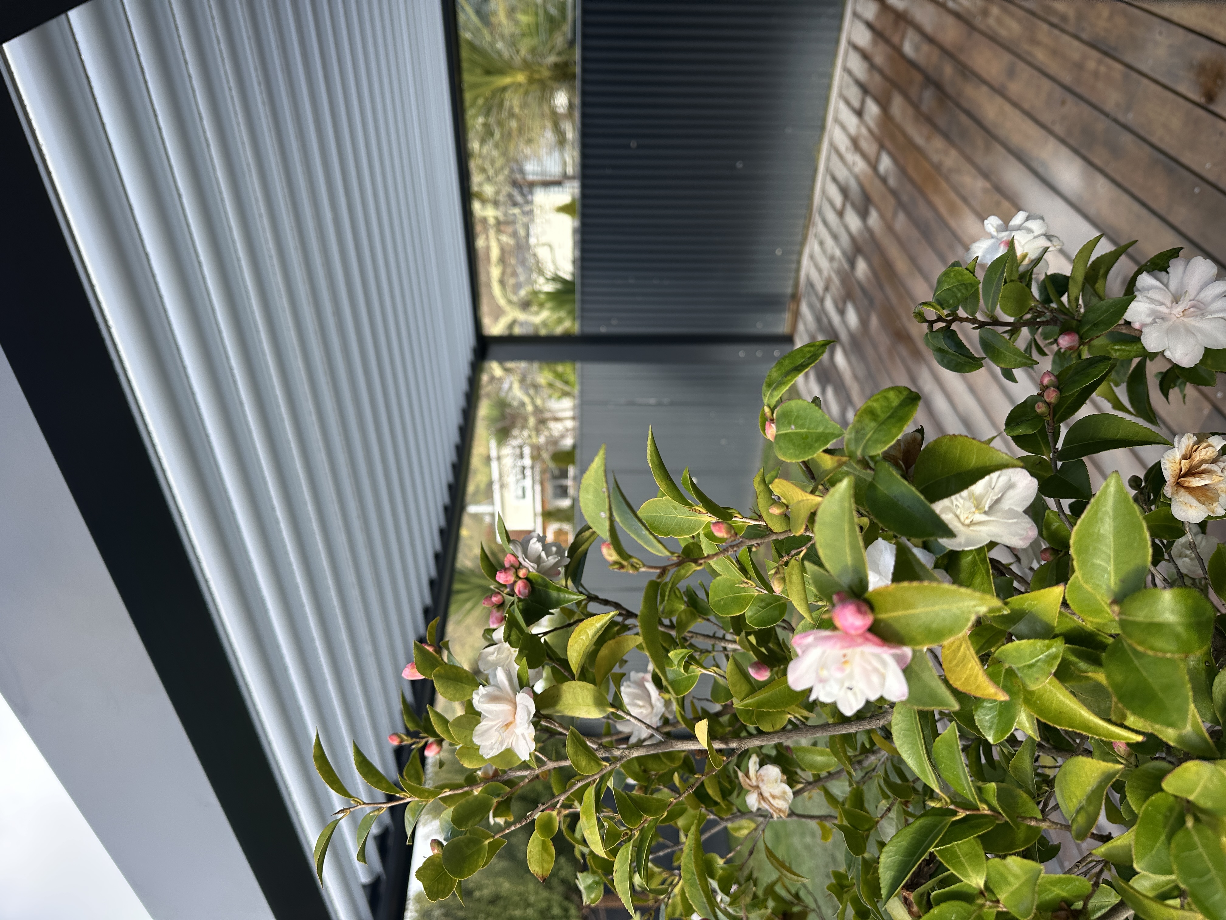 Modern louvre roof system over a dining area