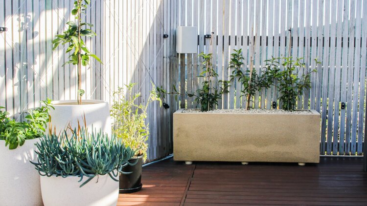 Modern home exterior with lush landscaping and outdoor seating.