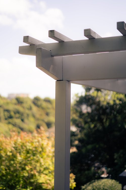 Project 5 Image 4 - Mature cypress trees