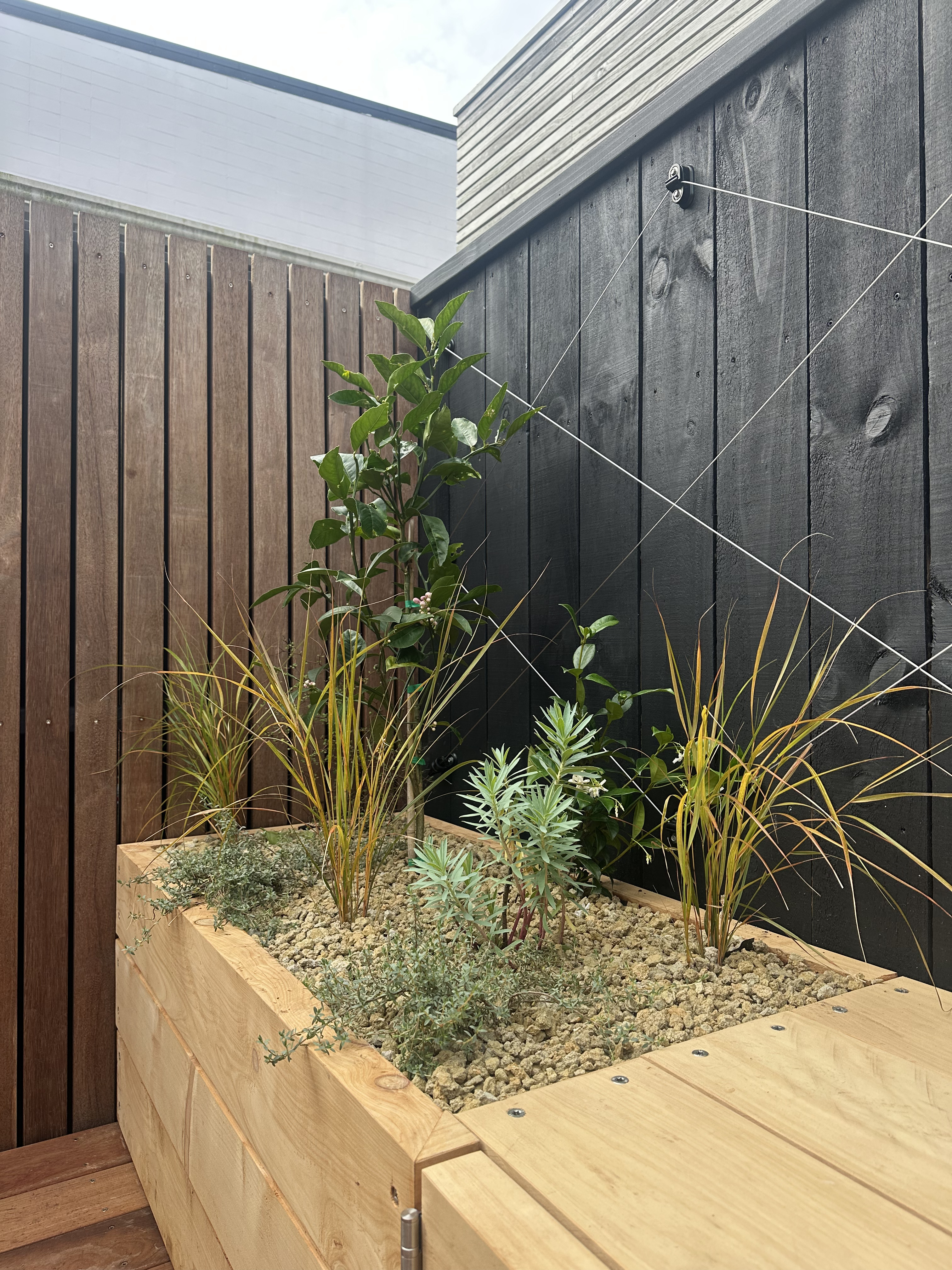 Lush green planting detail