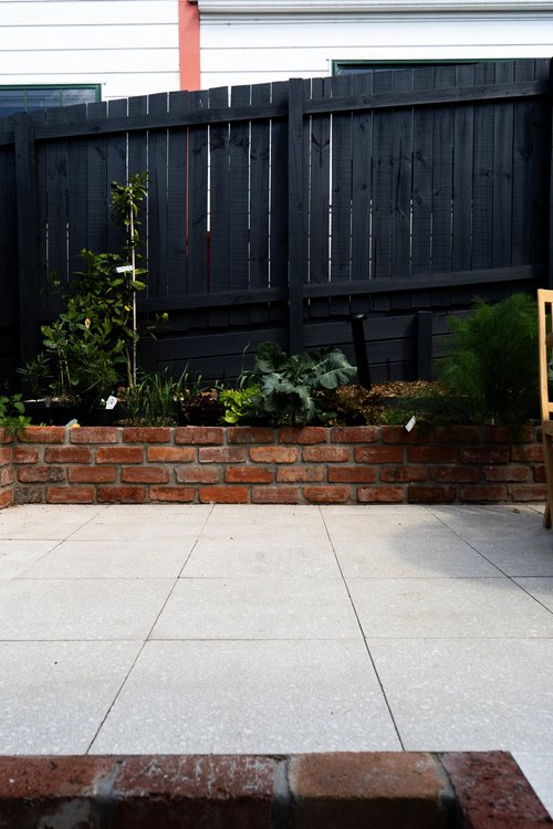 Closeup of green foliage in the courtyard