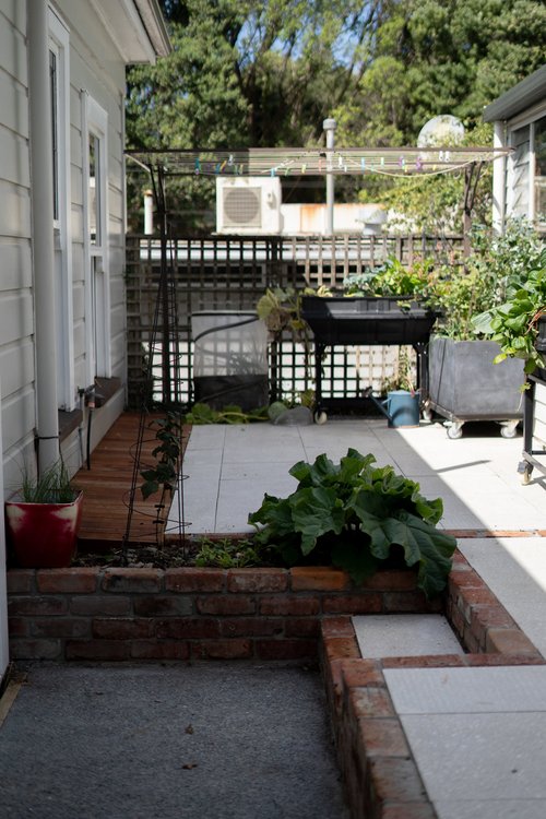 Tall view of a recycled brick wall with climbing plants